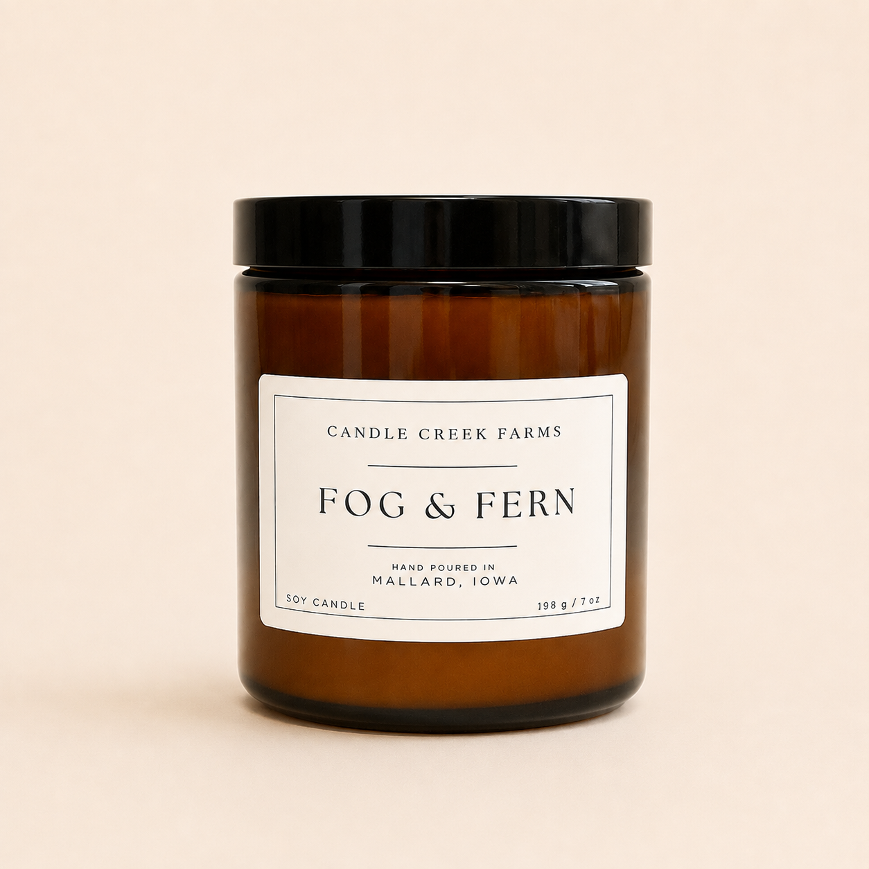 Fog & Fern